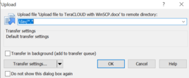 WinSCP Step 2. Confirm Upload Settings.png
