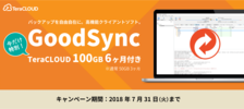 キャンペーン/GoodSync + TeraCLOUD 100GB 6ヶ月 スペシャルセットキャンペーン
